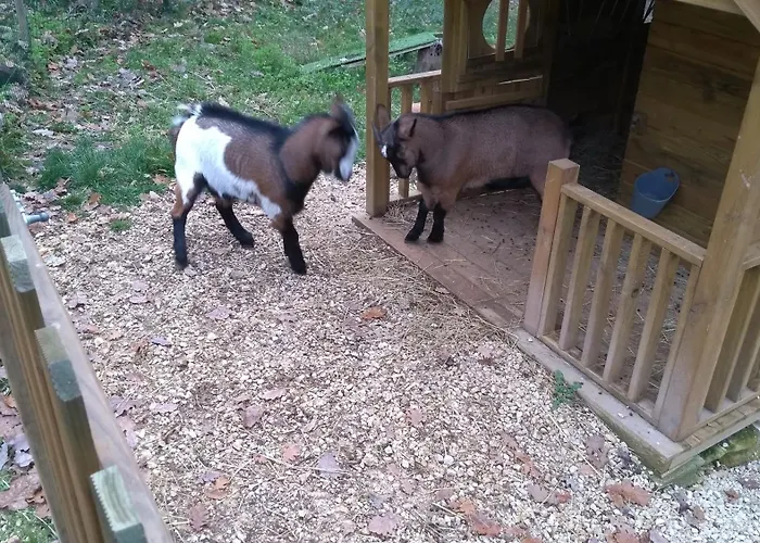 Landhaus La 6 Des Hauts De Sarlat